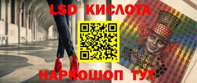 стаф Будённовск