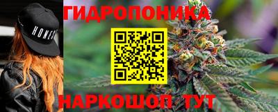 стаф Будённовск