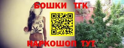 стаф Будённовск