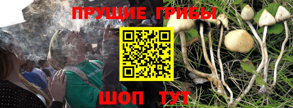 Конаково  Псилоцибиновые грибы Magic Shrooms  Вход с VPN  Псилоцибиновые грибы прущие грибы 